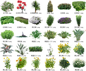 高清树木花卉绿植免抠贴图素材 
