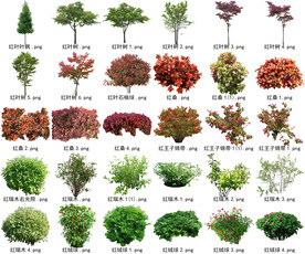 高清树木花卉绿植免抠贴图素材 