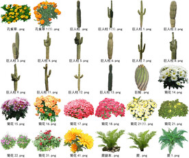 高清树木花卉绿植免抠贴图素材 