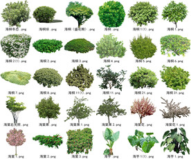 高清树木花卉绿植免抠贴图素材 