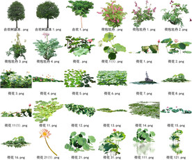 高清树木花卉绿植免抠贴图素材 