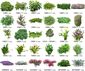 高清树木花卉绿植免抠贴图素材 