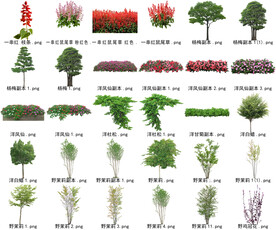 高清树木花卉绿植免抠贴图素材 