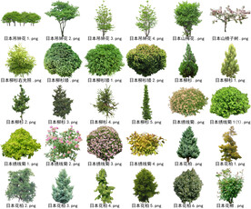 高清树木花卉绿植免抠贴图素材 