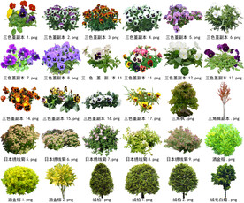 高清树木花卉绿植免抠贴图素材 