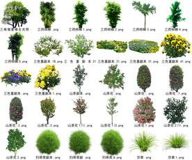 高清树木花卉绿植免抠贴图素材 