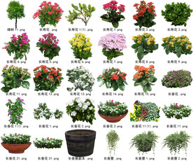 高清树木花卉绿植免抠贴图素材 