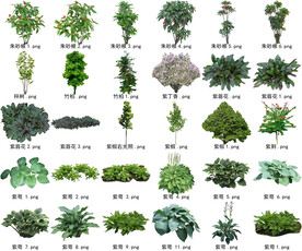 高清树木花卉绿植免抠贴图素材 