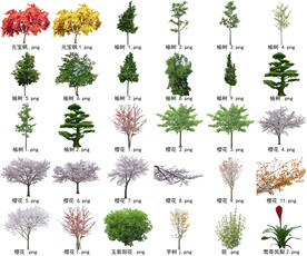 高清树木花卉绿植免抠贴图素材 