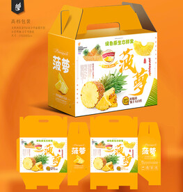 菠萝包装