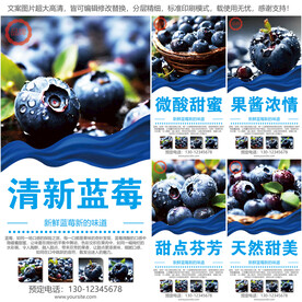 蓝莓海报多张高清