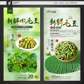 毛豆