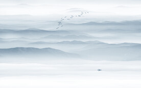 蓝色水墨山水画背景墙