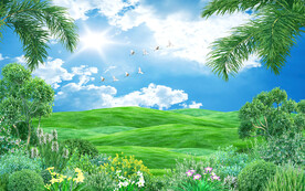 清新天空草地背景墙