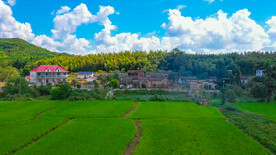 蓝天白云村落农田