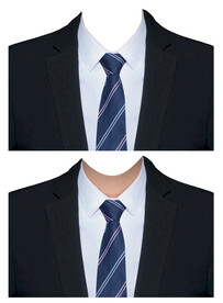 证件照男西装衬衫领带套装素材