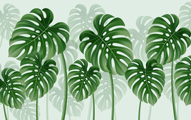 清新手绘水彩龟背叶热带植物花卉