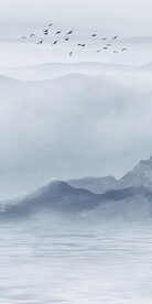 新款 中式高雅玄关 TiF分层