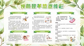 夏季预防疾病登革热与防蚊展板