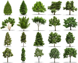 高清树木花卉绿植免抠贴图   