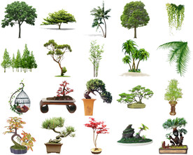 高清树木花卉绿植免抠贴图   
