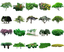 高清树木花卉绿植免抠贴图   