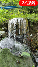 竖版水流视频