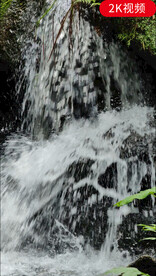 竖版流水水花视频