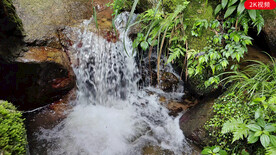 溪水流水视频