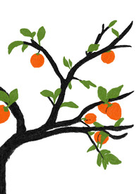 油画柿子装饰画