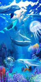 深海海底海豚美景玄关