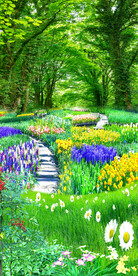 小路林荫路自然美景玄关