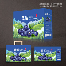 蓝莓包装