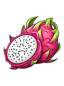 手绘热带水果火龙果矢量免抠元素