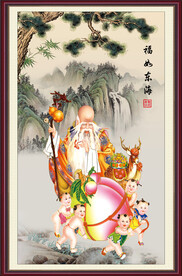 老寿星