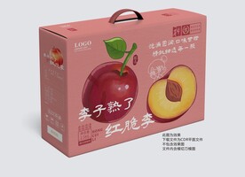 李子包装 红脆李手提礼盒