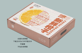 橙子包装 桔子礼盒