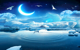 大海雪景壁画电视背景墙