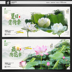 荷花节