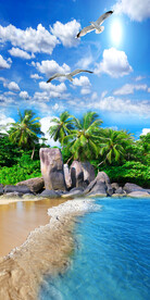 海边沙滩风景玄关