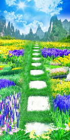 清新自然绿草花卉玄关