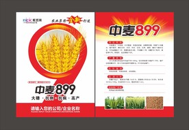 小麦单页