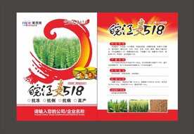 小麦单页
