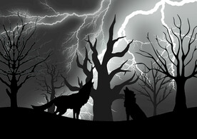 黑夜闪电下的狼