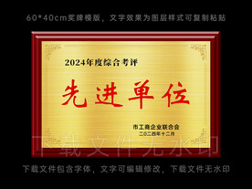 奖牌 先进单位