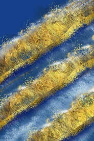 高端抽象发财画