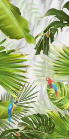 绿色植物树叶玄关