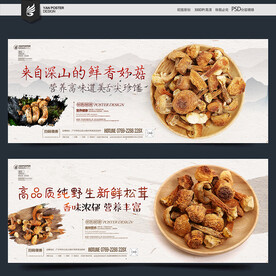 姬松茸