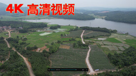 小蓝莓大产业 乡村产业