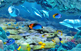 3D立体海底世界海豚电视背景墙